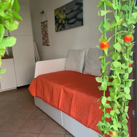 Tiffany 2 פאלאו